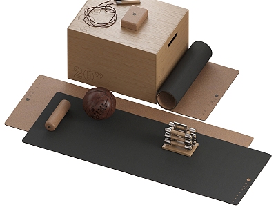 Yoga Fitness Equipment Collection model