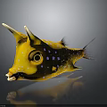 Yellow Horned Fish With Spotted Body Spines Big Eyes And Reflective Surface