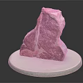 Fresh Raw T Bone Steak Placed On White Round Ceramic Plate 3d model