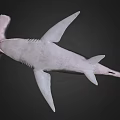 Detailed Realistic Shark 3D Rendering With Sharp Fins And Lifelike Body