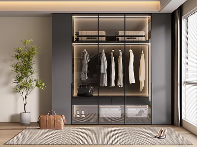 Modern Wardrobe Interior With Glass Doors Hanging Clothes And Potted Plant 3d model