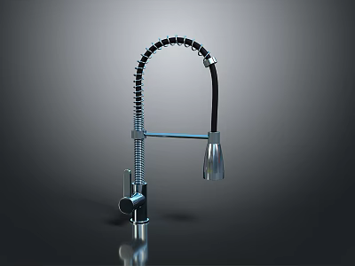Modern Stainless Steel Kitchen Faucet With Flexible Hose And Rotatable Spout 3d model