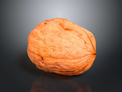 Whole Walnut Kernel With Natural Brown Shell And Smooth Surface 3d model