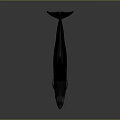 Black Whale With Open Mouth And Sharp Teeth 3D Rendered On Gray Background