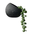 Bonsai Potted Plant With Green Round Leaves Black Ribbed Pot And Hanging Vines