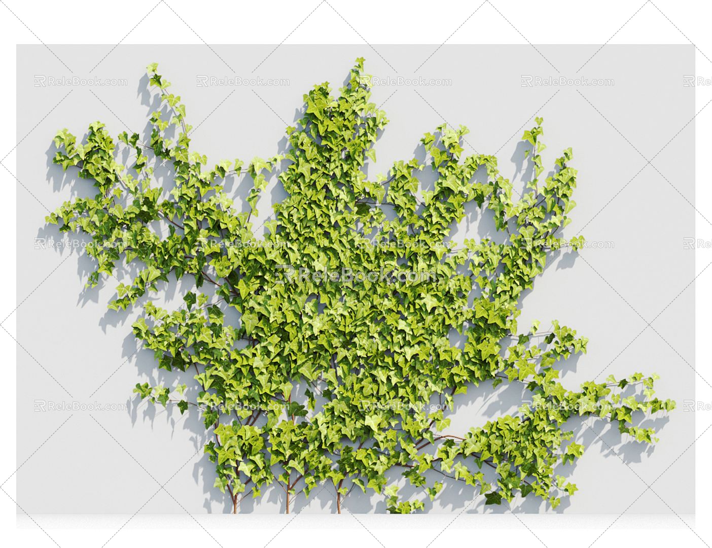 Modern Vine Vine Plant 3d model