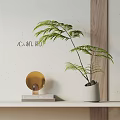 Lush Fern Bonsai Potted Plant In White Ceramic Pot With Golden Decor And Wooden Panel