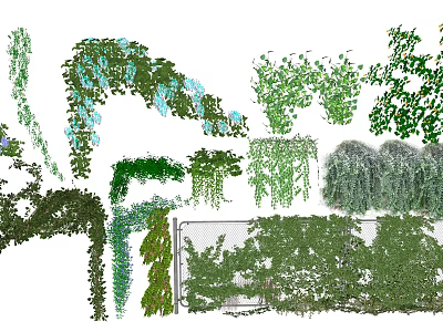Different Types Of Decorative Vines For Garden Wall And Landscape Design 3d model