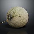 Fresh Round Cantaloupe with Green Netted Texture and Stem on Black Background 3d model