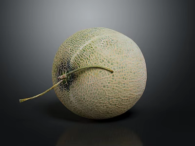 Fresh Round Cantaloupe with Green Netted Texture and Stem on Black Background 3d model