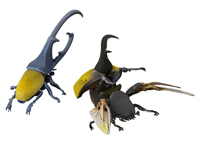Two Colorful Reptile Horned Lizard Models With Blue Horns Yellow And Black Bodies 3d model