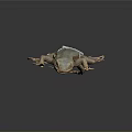 Lizard With Blue Brown Patterns And White Back Tag Against Gray Gradient Background