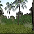 Lush Garden Landscape With Palm Trees Green Lawn Bushes Blue Sky And White Clouds