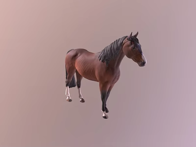 Durable High Quality Equestrian Sports Equipment For Brown Horse Riding Training 3d model