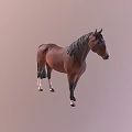 Durable High Quality Equestrian Sports Equipment For Brown Horse Riding Training