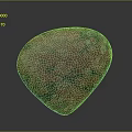 Heart Shaped Red Green Patterned Natural Stone with Unique Intricate Texture