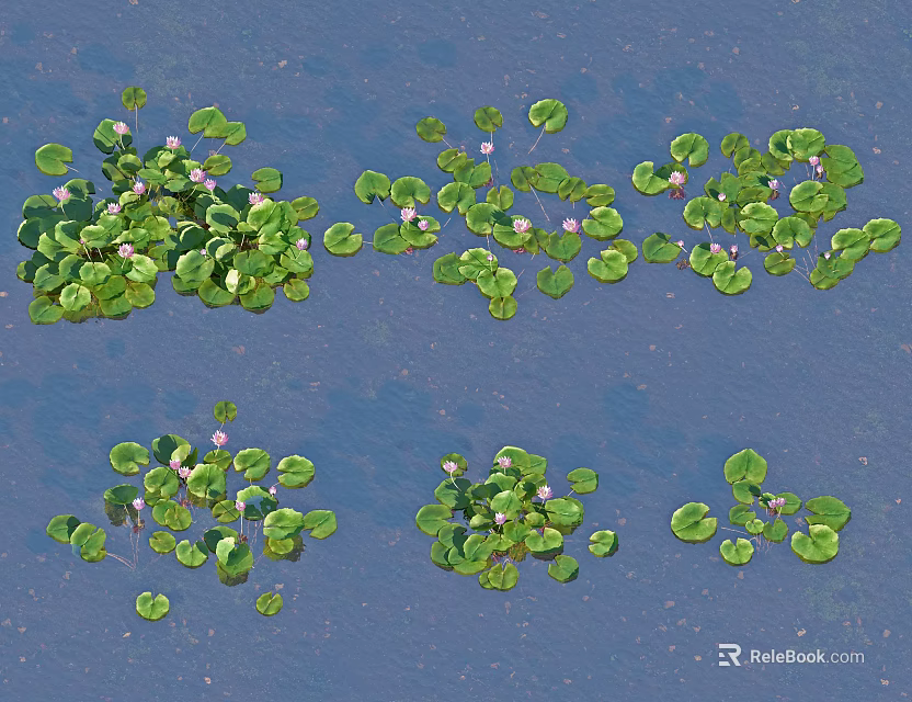 Clusters of Aquatic Plants With Green Leaves And Small Pink Flowers Floating On Calm Water Surface 3d model 