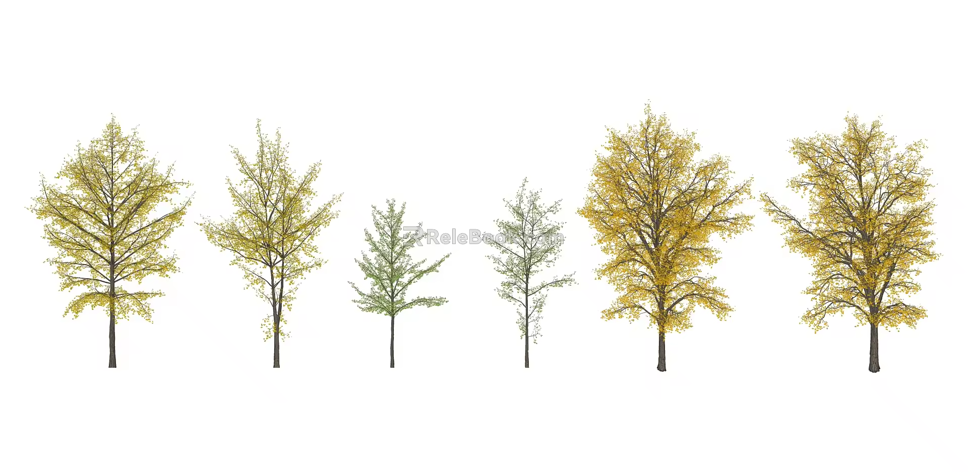 Modern Tree Ginkgo 3d model