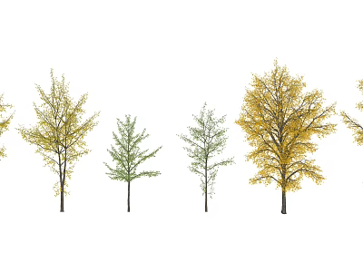 Row of Trees with Green and Yellow Foliage and Straight Trunks 3d model