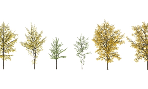 Modern Tree Ginkgo 3d model