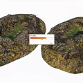Natural Stone Wood Decorative Pieces With Green Moss And Hollow Design