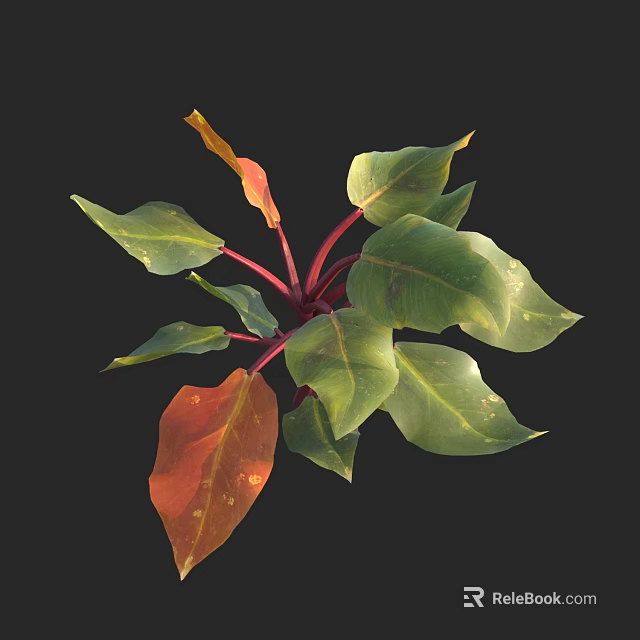 Vibrant Green And Red Leaf Plant With Red Stems And Lush Foliage 3d model 