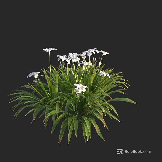 Aquatic Plants With Lush Green Leaves And Fresh White Flowers In Natural Setting 3d model 