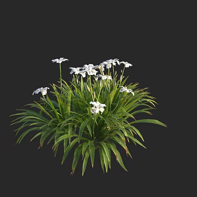 Aquatic Plants With Lush Green Leaves And Fresh White Flowers In Natural Setting 3d model