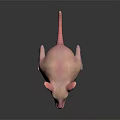 Pink Hairless Animal With Large Ears Sharp Teeth And Frightening Expression On Dark Reflective Surface