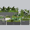 Decorative Potted Plants Display With Various Green Plants In Stylish Rectangular Pots 3d model