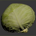 Fresh Green Round Cabbage Healthy Vegetable With Vibrant Color And Texture