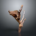 Artisan Designed Biomorphic Wooden Sculpture Featuring Natural Branch And Organic Form
