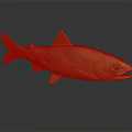 Fresh Salmon Fish With Green Brown Stripes And Red Spots On Gray Background