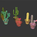 Cactus Plants Of Various Shapes In Brown Pots With Red Flowers