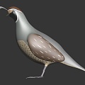 Modern cuckoo bird bird cartoon bird 3d model