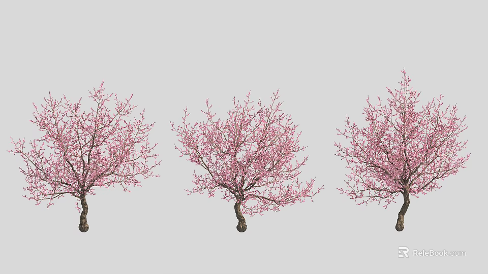 Three Lush Arbor Trees Adorned With Pink Flowers Against Gray Background 3d model 