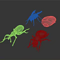 Grey Colored 3D Rendered Insect Models Of Different Species