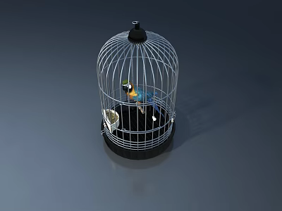 Round Metal Pet Cage With Colorful Bird And Base Tray Top Lid 3d model