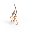 Natural Plant With Brown Branches And Round Orange Fruits On White Background