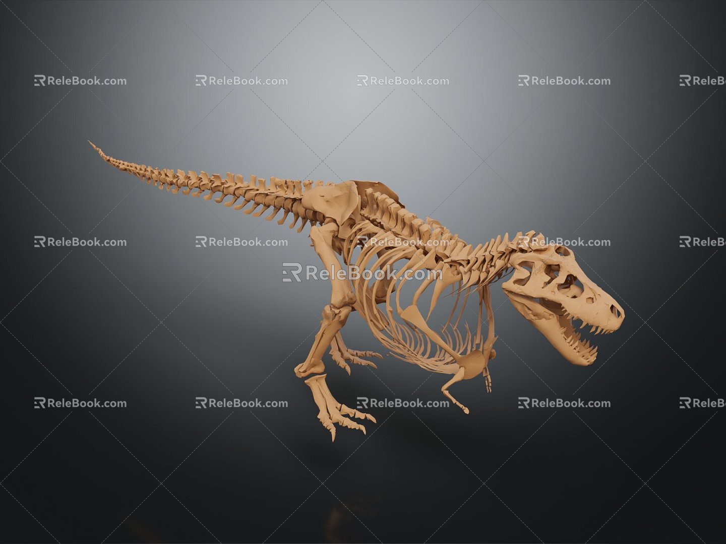 Modern Skeleton Animal Skeleton Dinosaur Skeleton Skeleton 3d model