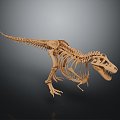 Modern Skeleton Animal Skeleton Dinosaur Skeleton Skeleton 3d model