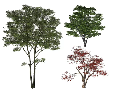 Different Types Of Arbor Trees With Green And Red Foliage And Varied Shapes 3d model
