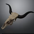 Detailed Animal Skull With Long Black Horns On Dark Surface