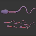 Microscopic Medical Device for Sperm Observation in Reproductive Health Clinical Analysis