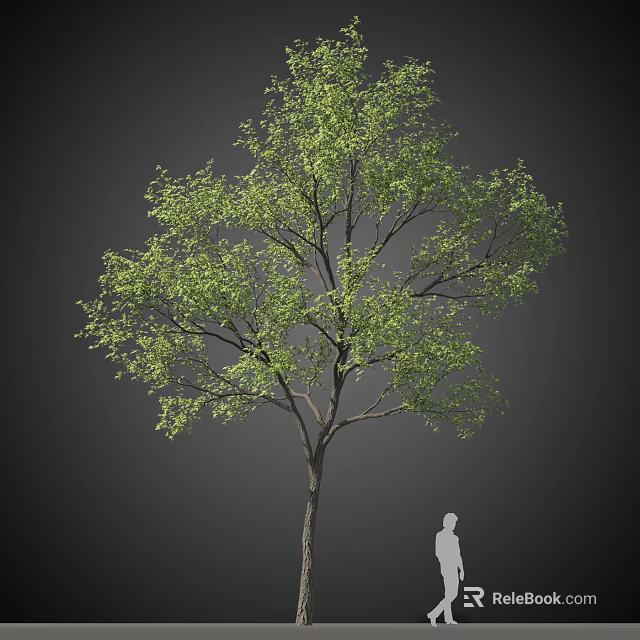 Tall Arbor With Lush Green Leaves Sturdy Trunk And Human Figure For Scale 3d model 