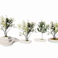 Various Arbor Trees with Green Foliage on White Step Shaped Bases and Round Platforms 3d model
