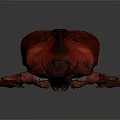 Red Beetle With Large Horns And Vibrant Shiny Exoskeleton On Dark Background