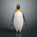 Emperor Penguin Black And White Feathers Yellow Neck Orange Beak Standing On Dark Background