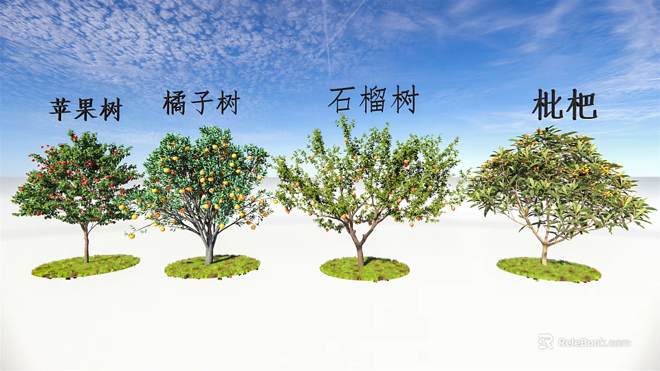 Fruit Bearing Arbor Trees Including Orange Pomegranate and Peach Varieties Under Blue Sky 3d model 