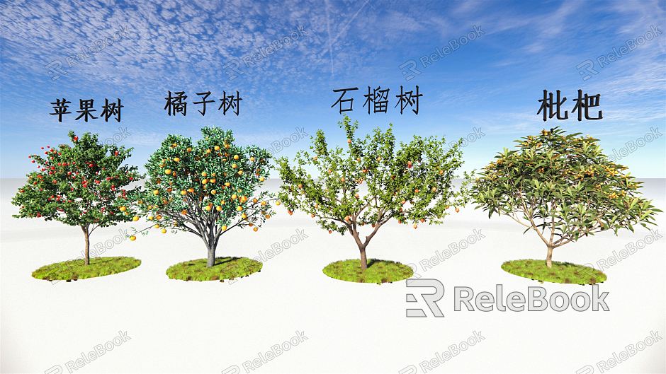 Modern Fruit Tree Apple Tree Orange Tree Loquat Tree Pomegranate Tree Landscape Tree model